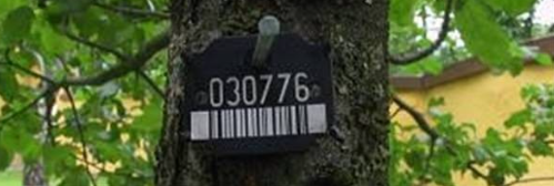 Baummarke mit Katasternummer