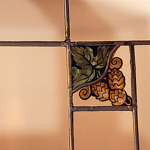 Das Bild zeigt Hopfen künstlerisch auf einem Glas.