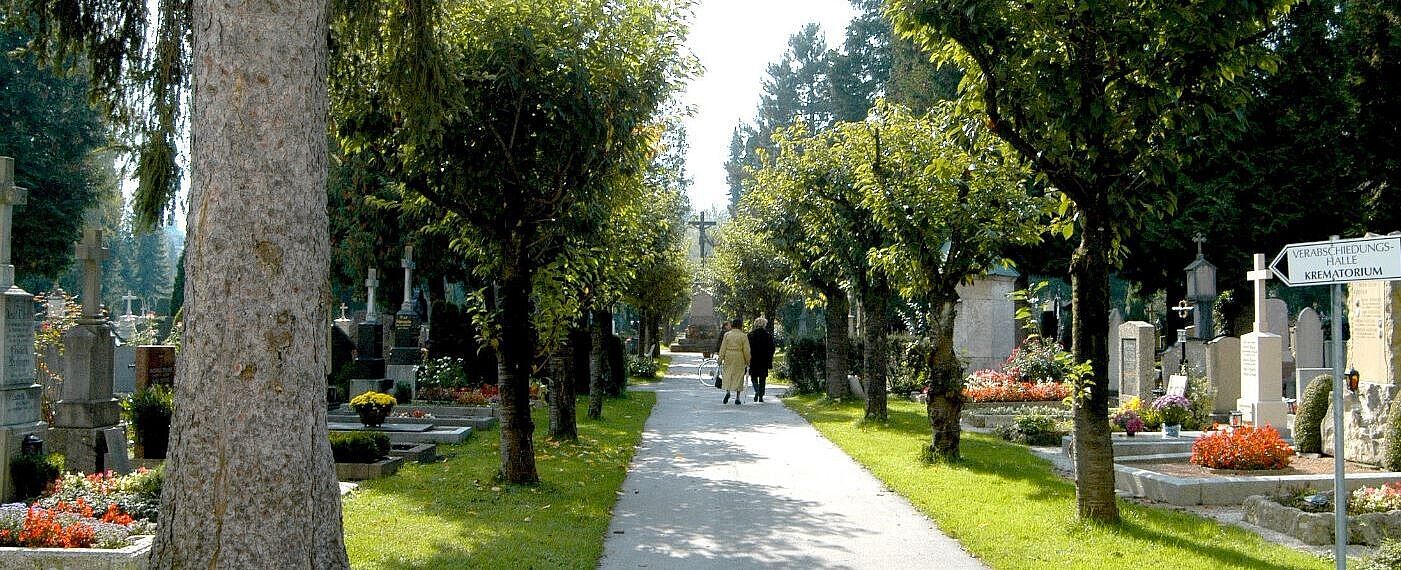 Spazierweg welcher durch die Gräber am Kommunalfriedhof führt.