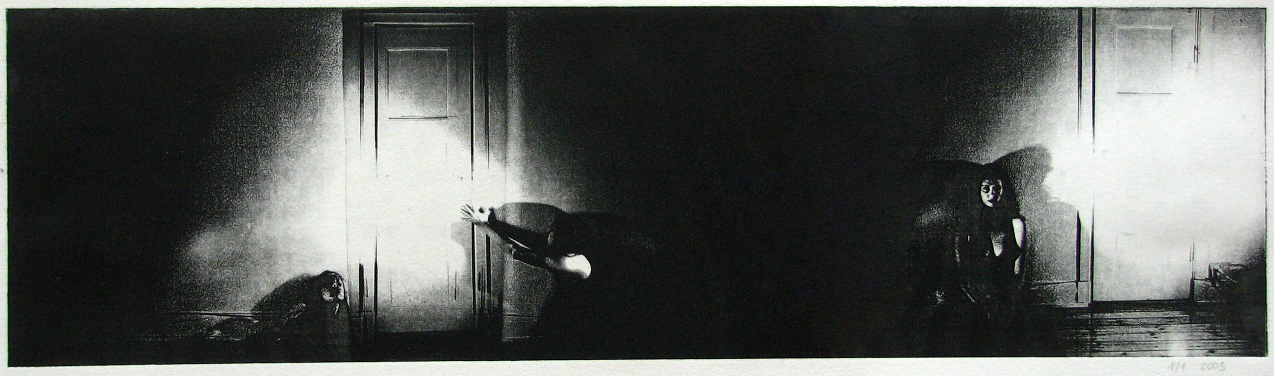 Ein Panorama Photopolymerdruck der Künstlerin Brigitte Kovacs.