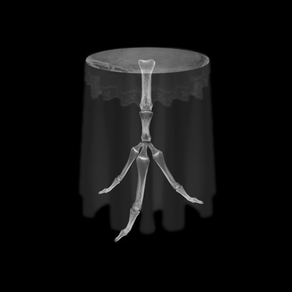 schwarzes Bild: in der Mitte ein weißlich transparenter runder Bistro Tisch mit kurzer Tischdecke mit Spitzenrand, darüber eine noch transparentere lange Tischdecke. Der dreibeinige Tischfuß besteht aus weißlichen Knochen.
