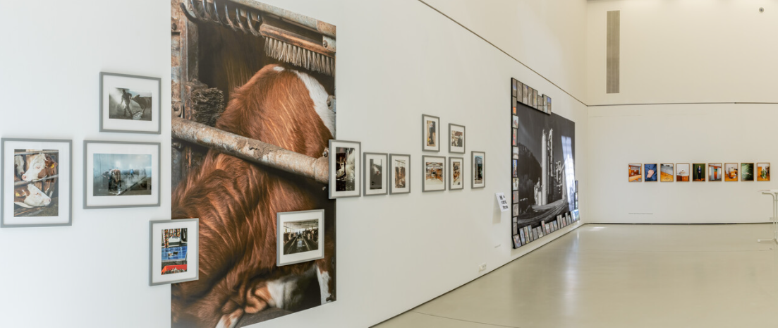Ausstellung "SalzburgBilder" an den Standorten Fotohof und Stadtgalerie am Inge-Morath-Platz