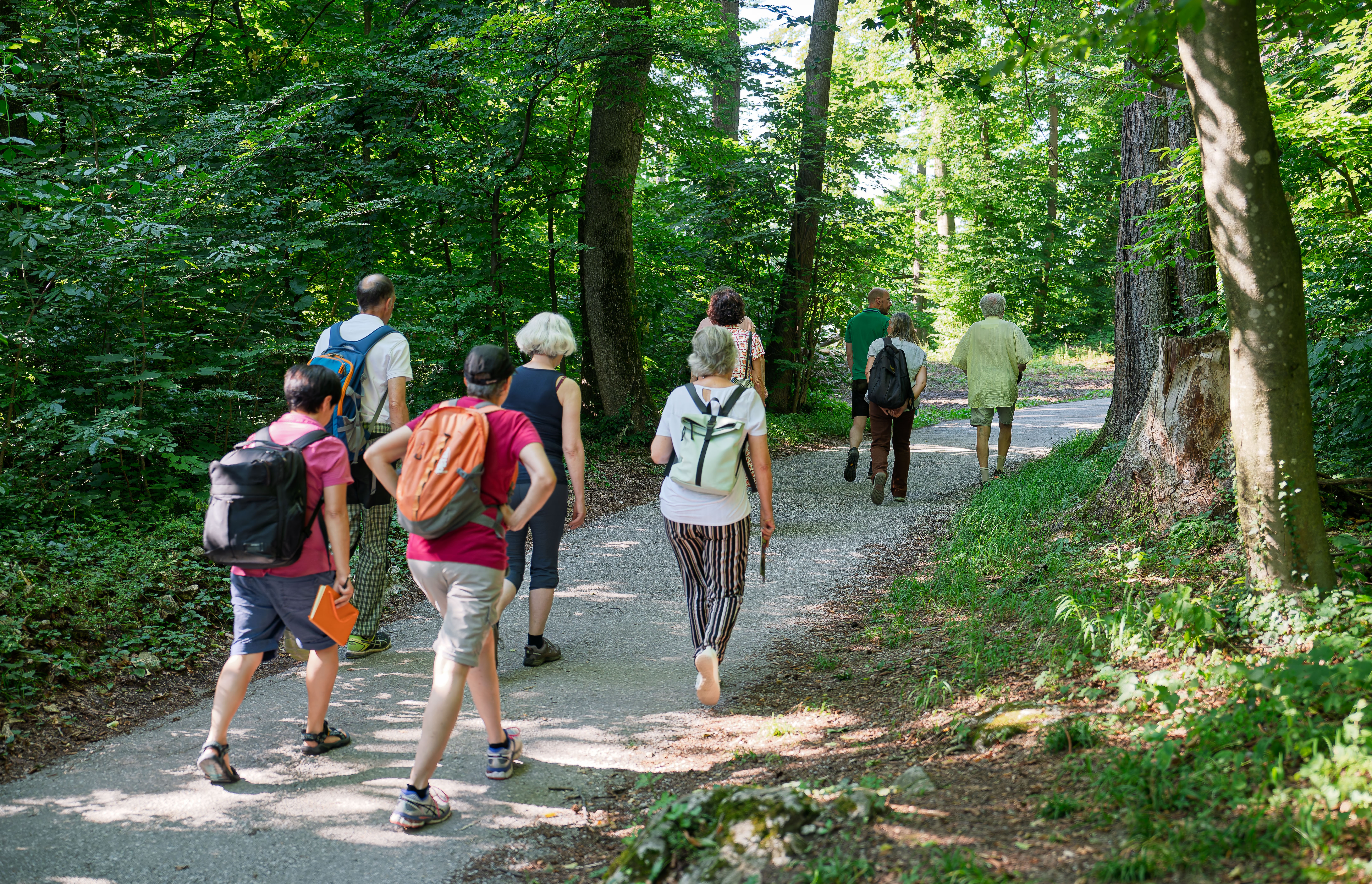 Das Bild zeigt 7 Personen beim Wandern im Wald.