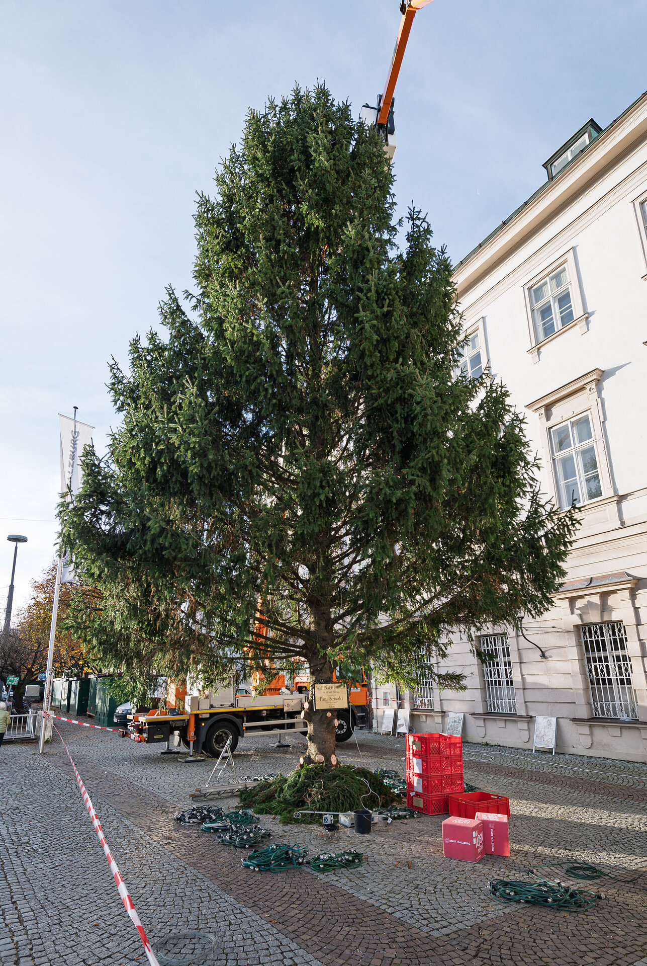 Christbaum 2025 Christbaum 2025