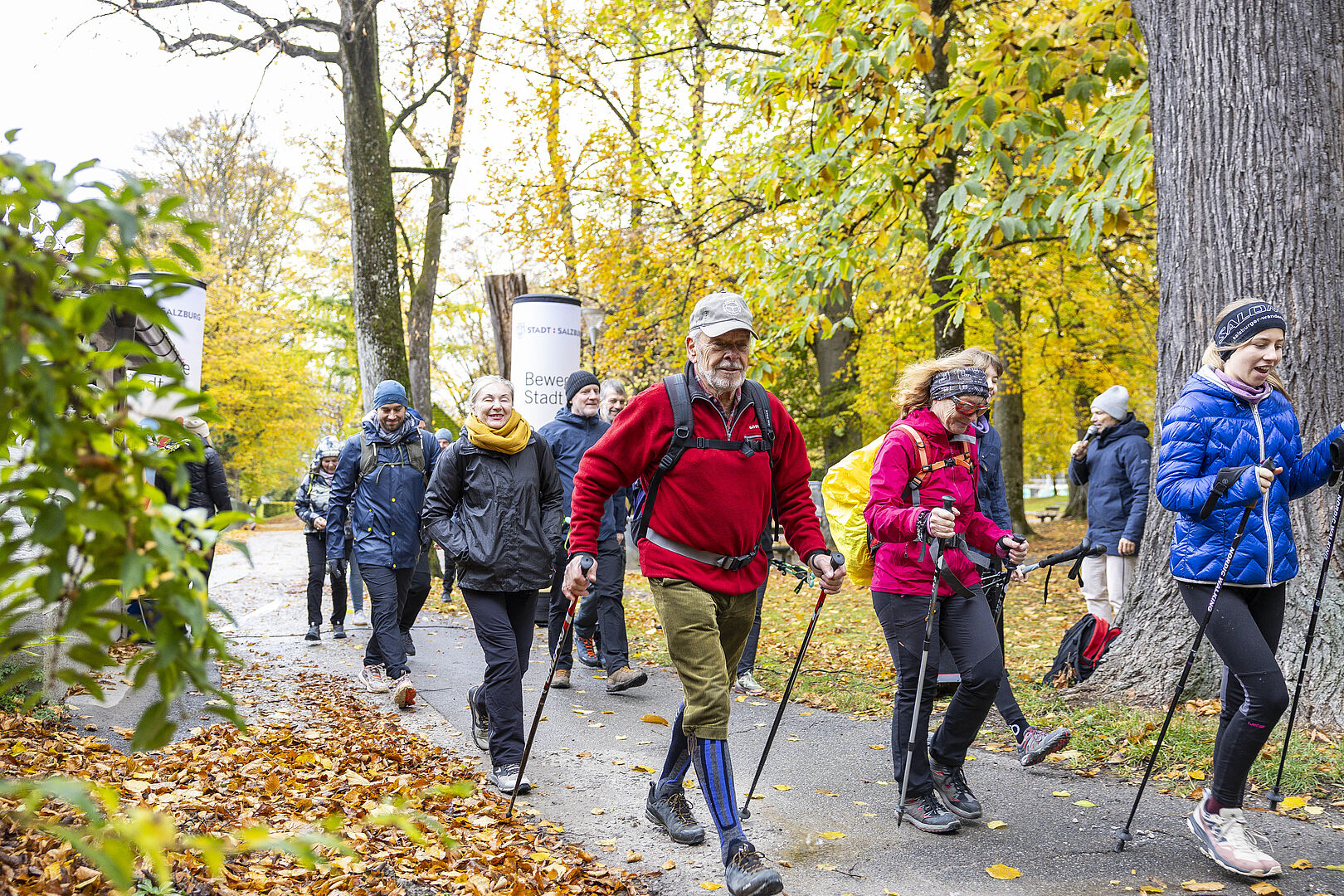 Das Bild zeigt Wanderer mit Walkingstöcken im Wald.