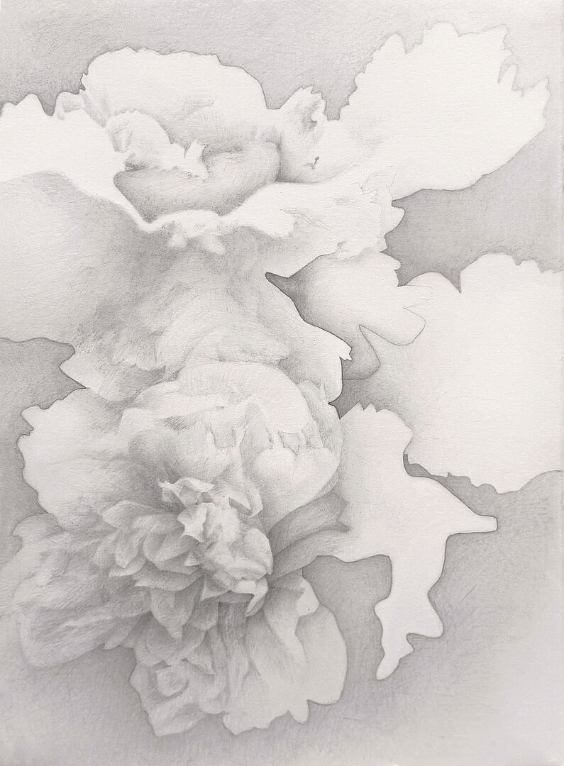 Einbettung, Bleistift auf Papier, 38 × 28 cm.