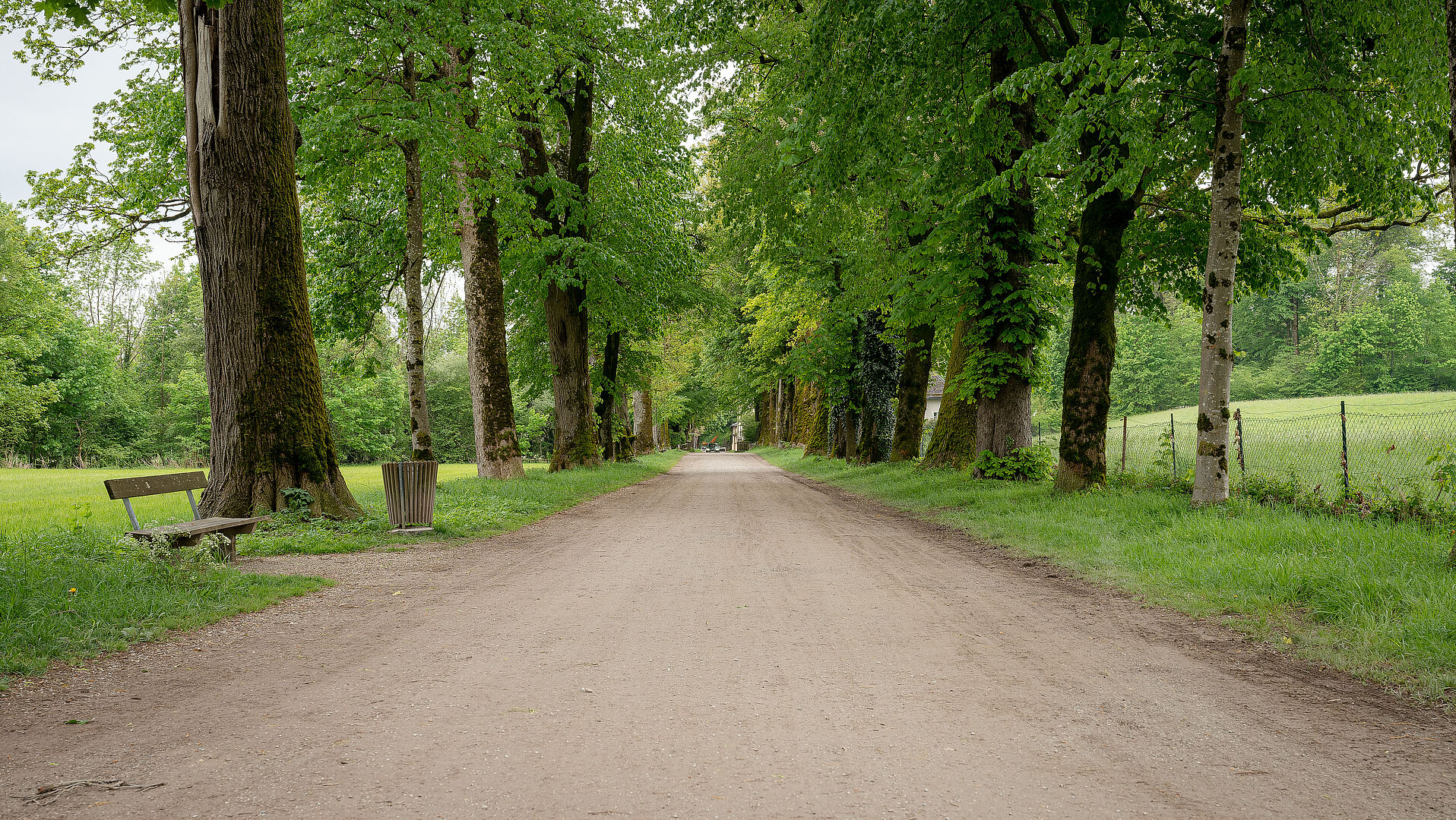 Der Grünlandfonds dient der Sicherstellung der aktiven Grünlandpflege.